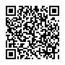 To view this 2013 GMC 2500 Cargo Van Norway MD from Len's Auto Sales, please scan this QR code with your smartphone or tablet to view the mobile version of this page.